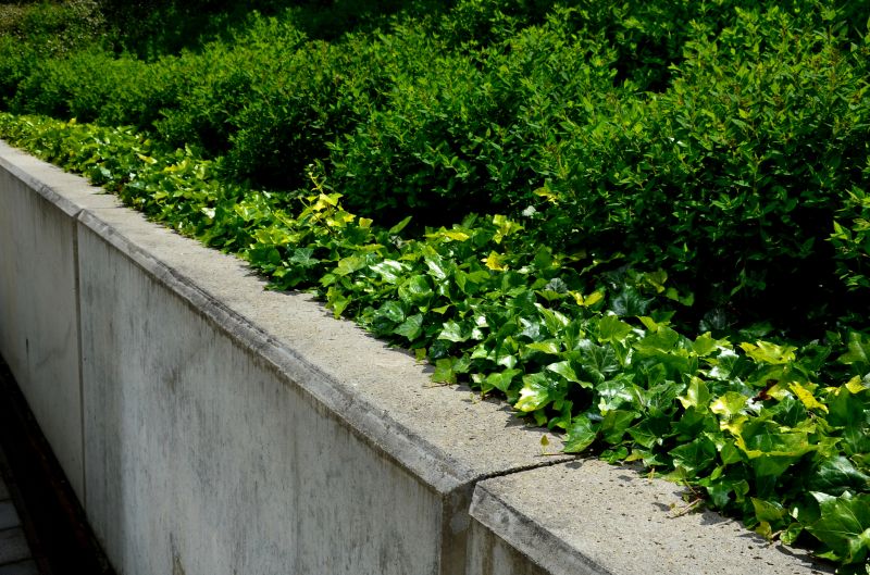 Concrete Wall Painting