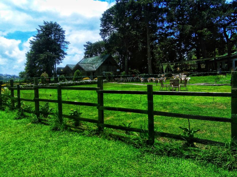 Fencing and Outdoor Structures