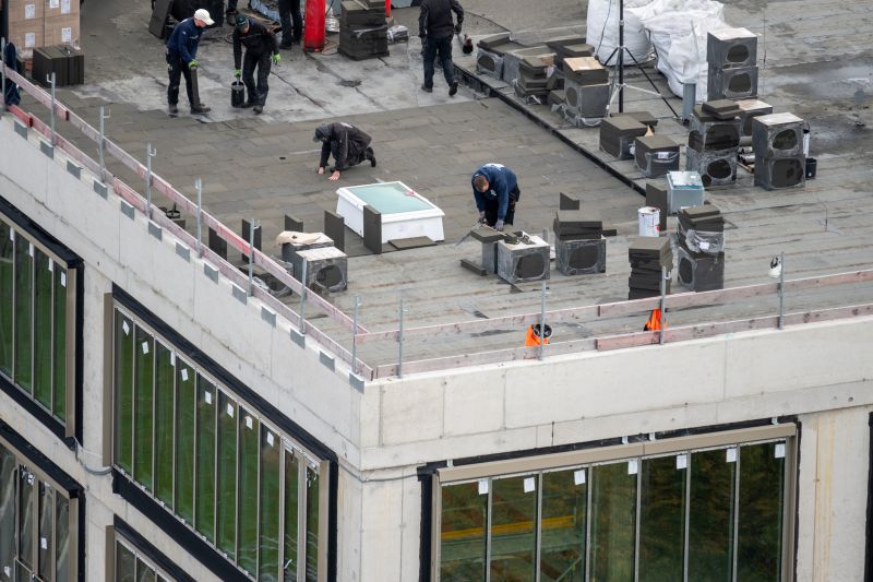 Roof Painting Service detail