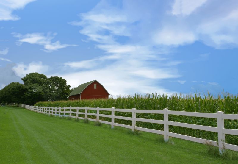 Horse Fence Painting